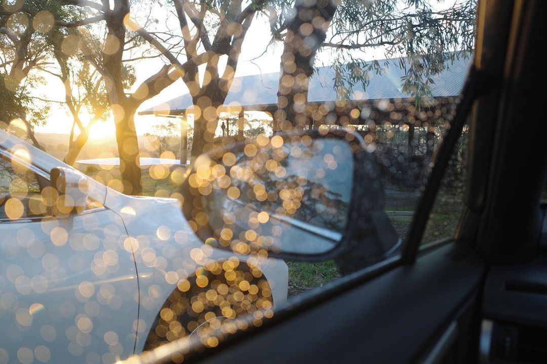 After the rain