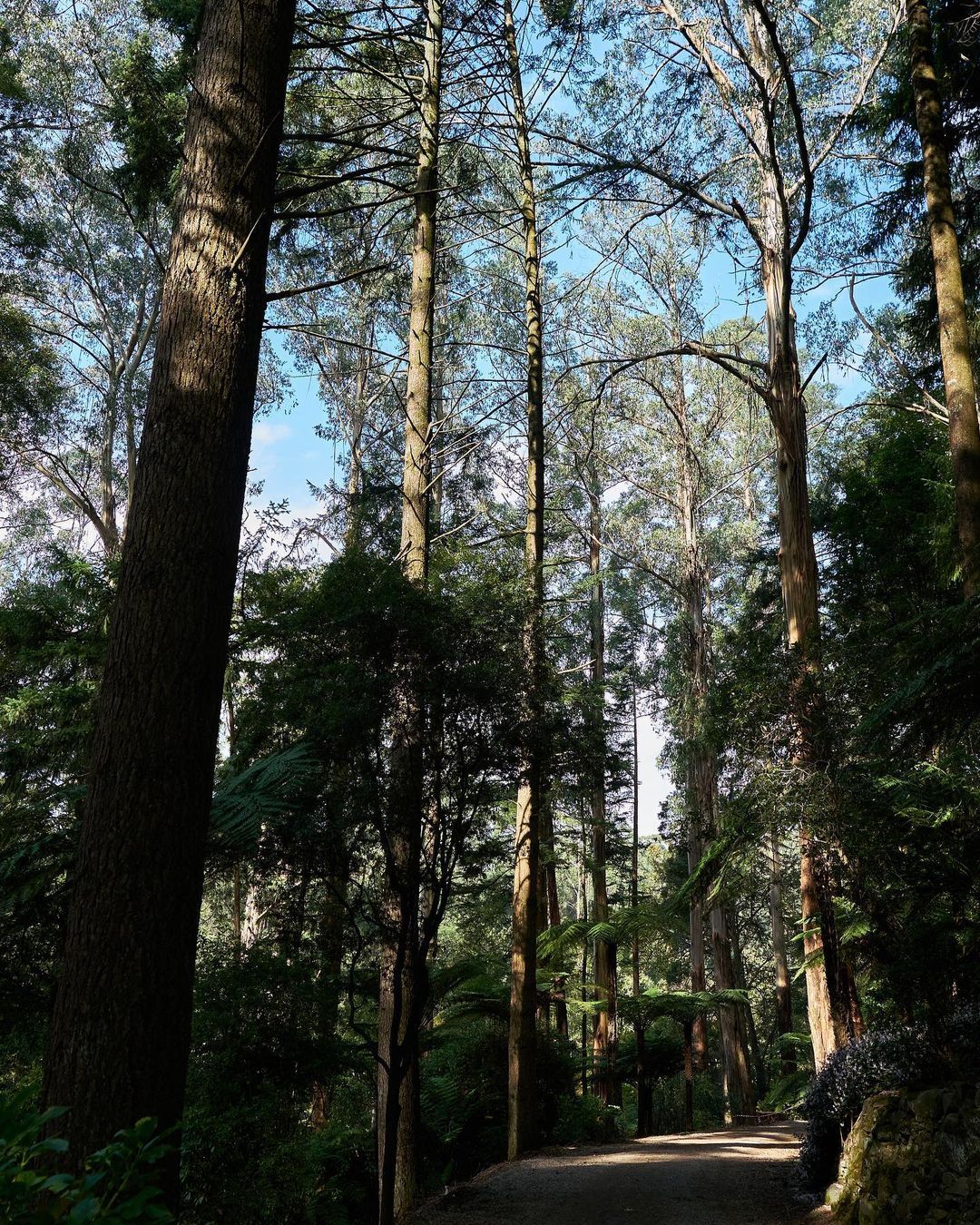 Alfred Nicholas memorial gardens ...