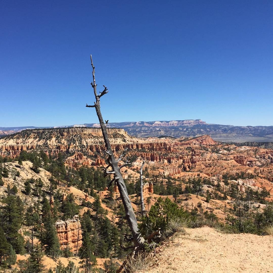 at Bryce Canyon National Park