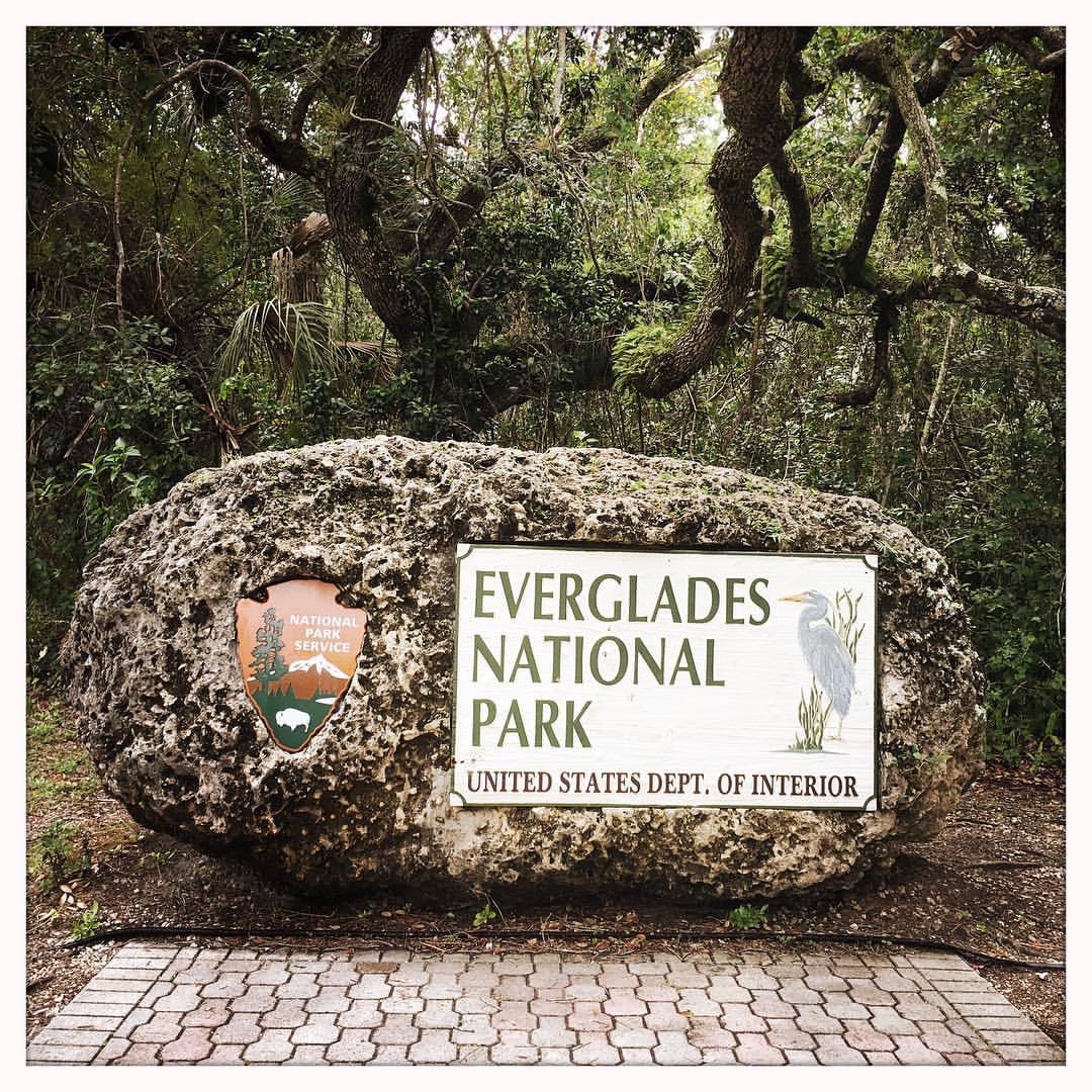 at Everglades National Park