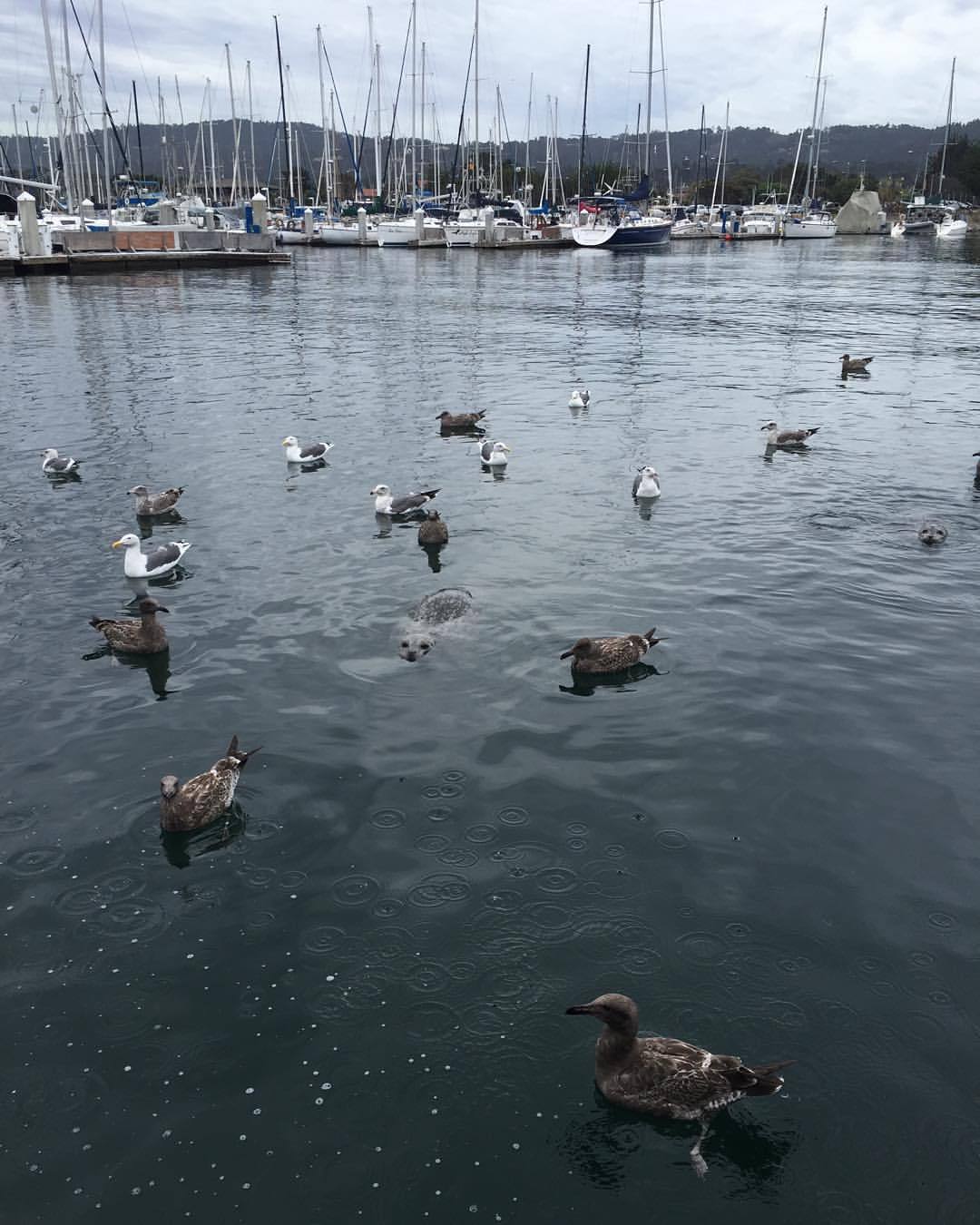 at Monterey Bay