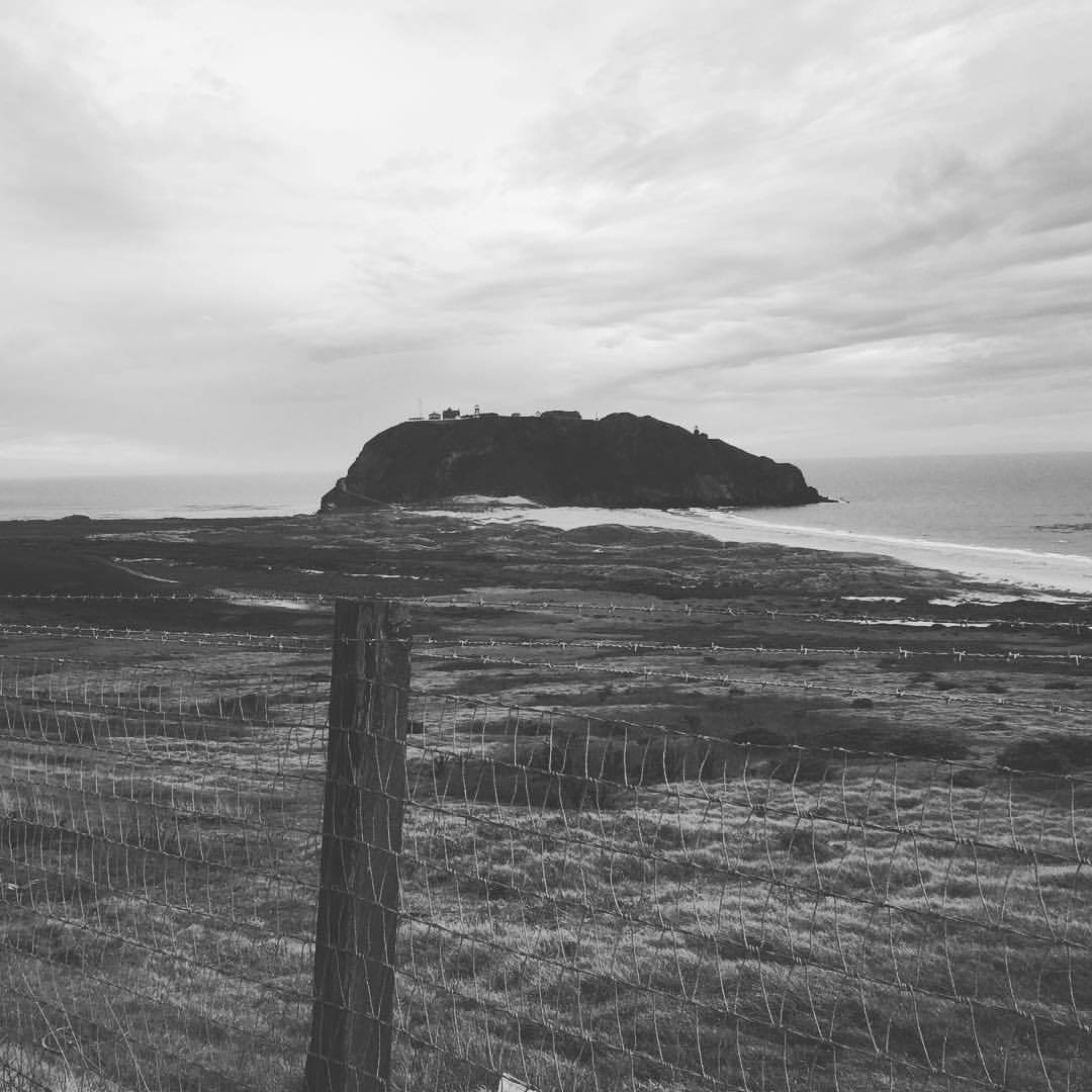 at Pacific Coast Highway
