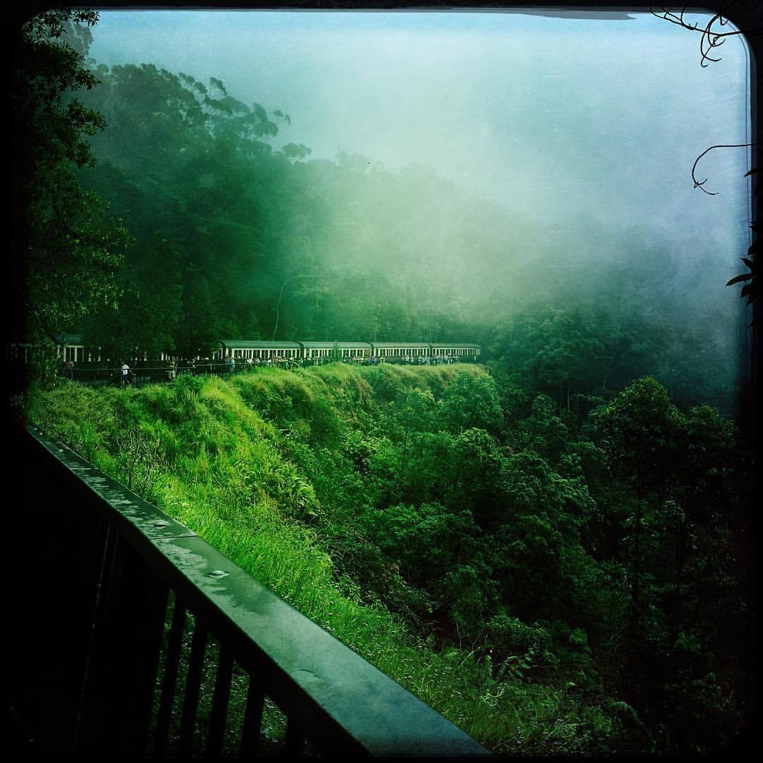at Skyrail Rainforest Cableway