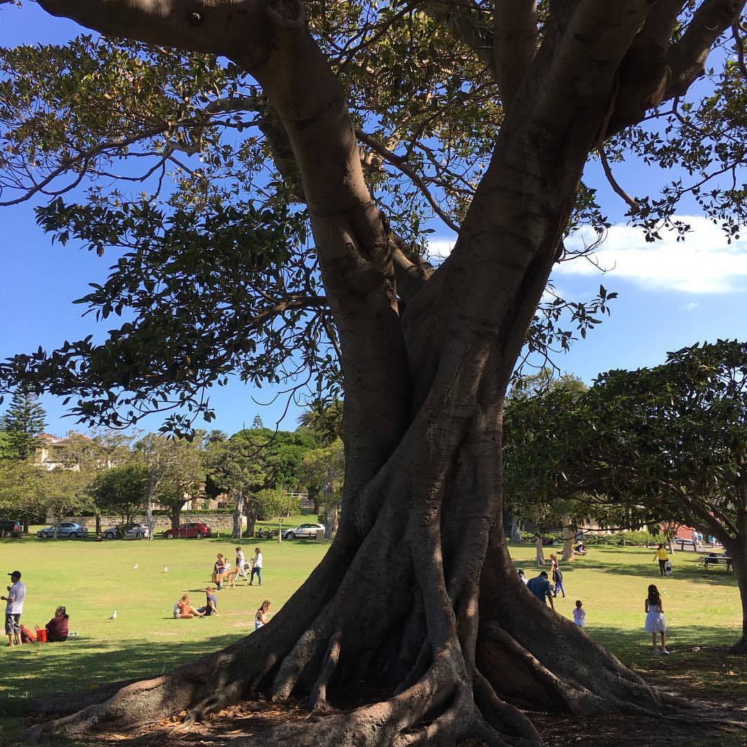 at Watson's Bay Beach