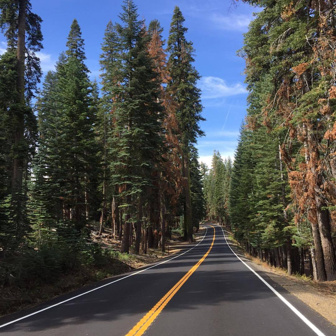 at Yosemite National Park