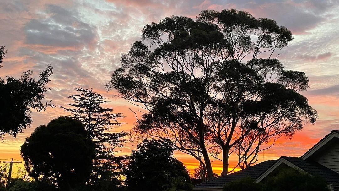 Beautiful Sunset everyday