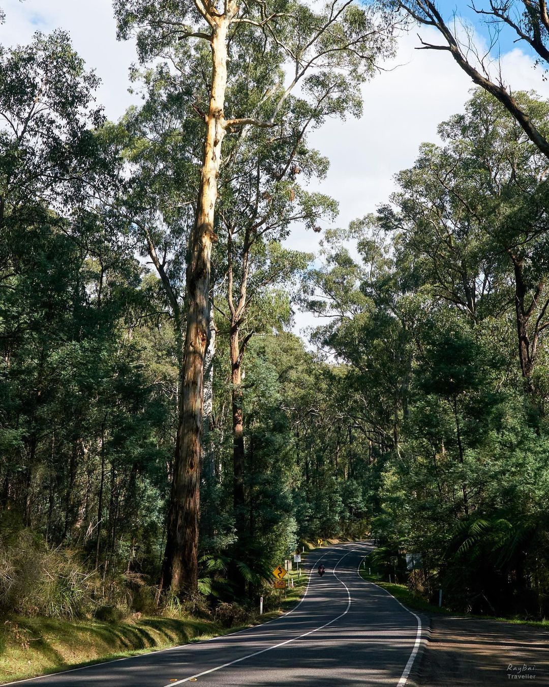 Black Spur ...