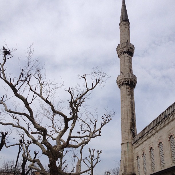 Blue Mosque