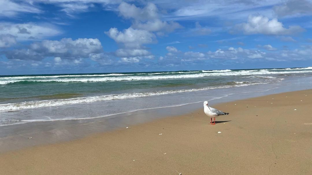 @broadbeach