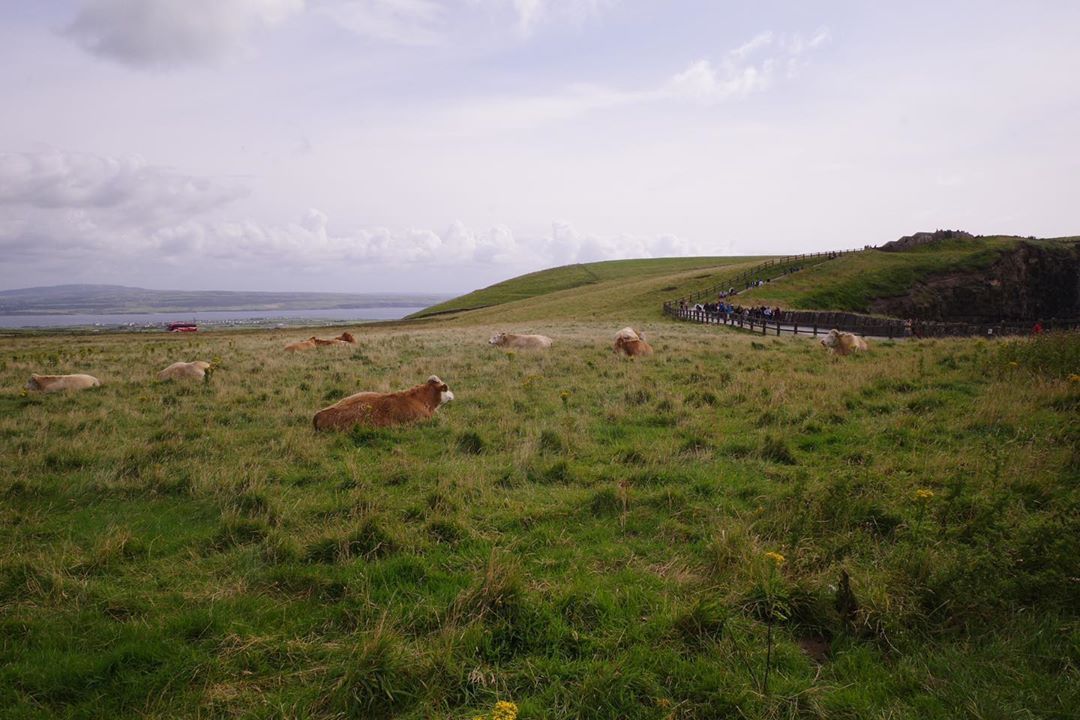 Cliffs of Moher