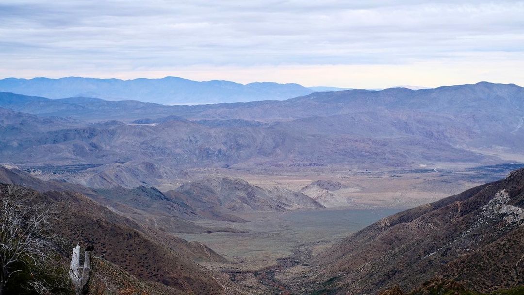 Desert View