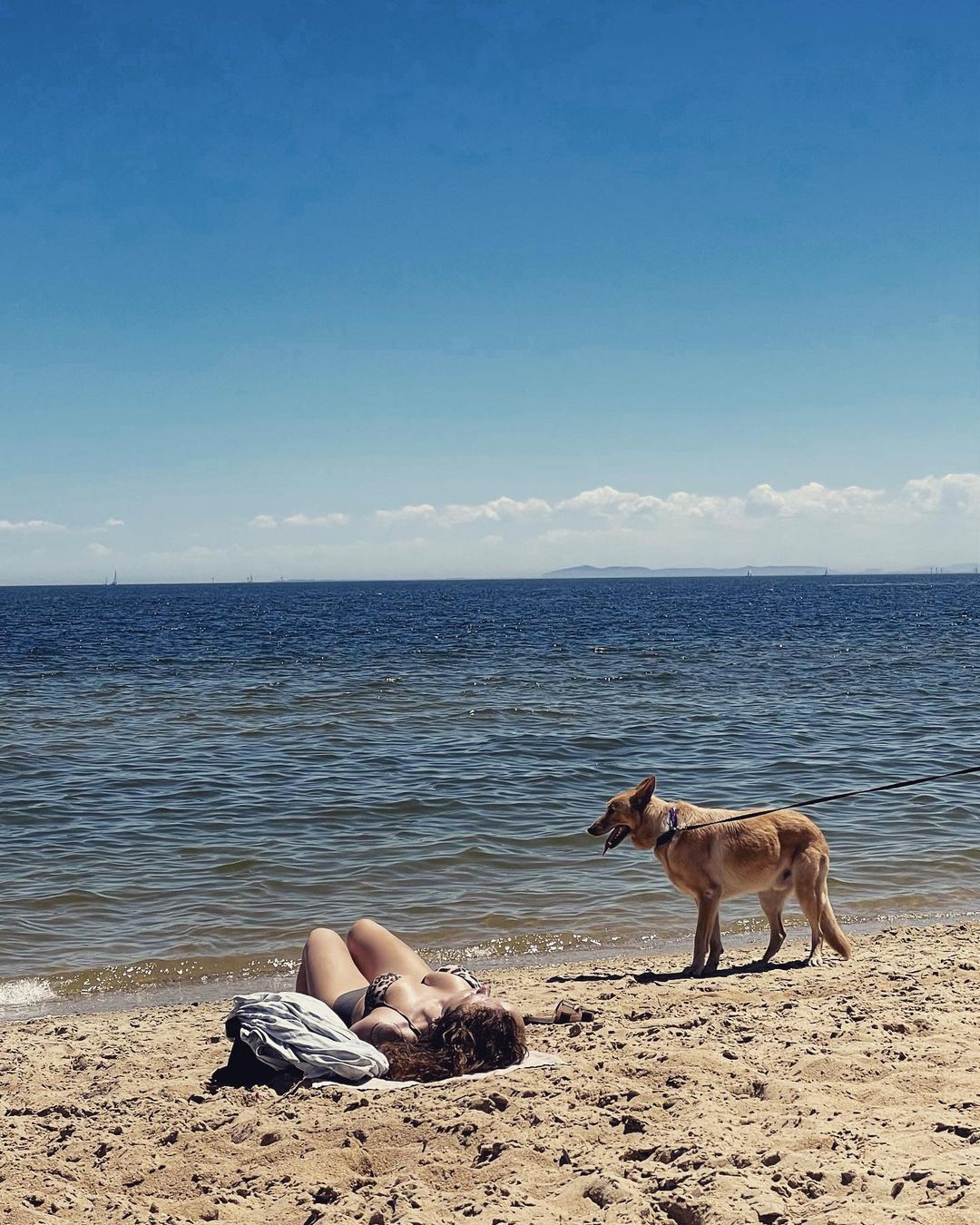 Having a pawsitively pawfect day at the beach with my best furry friend.