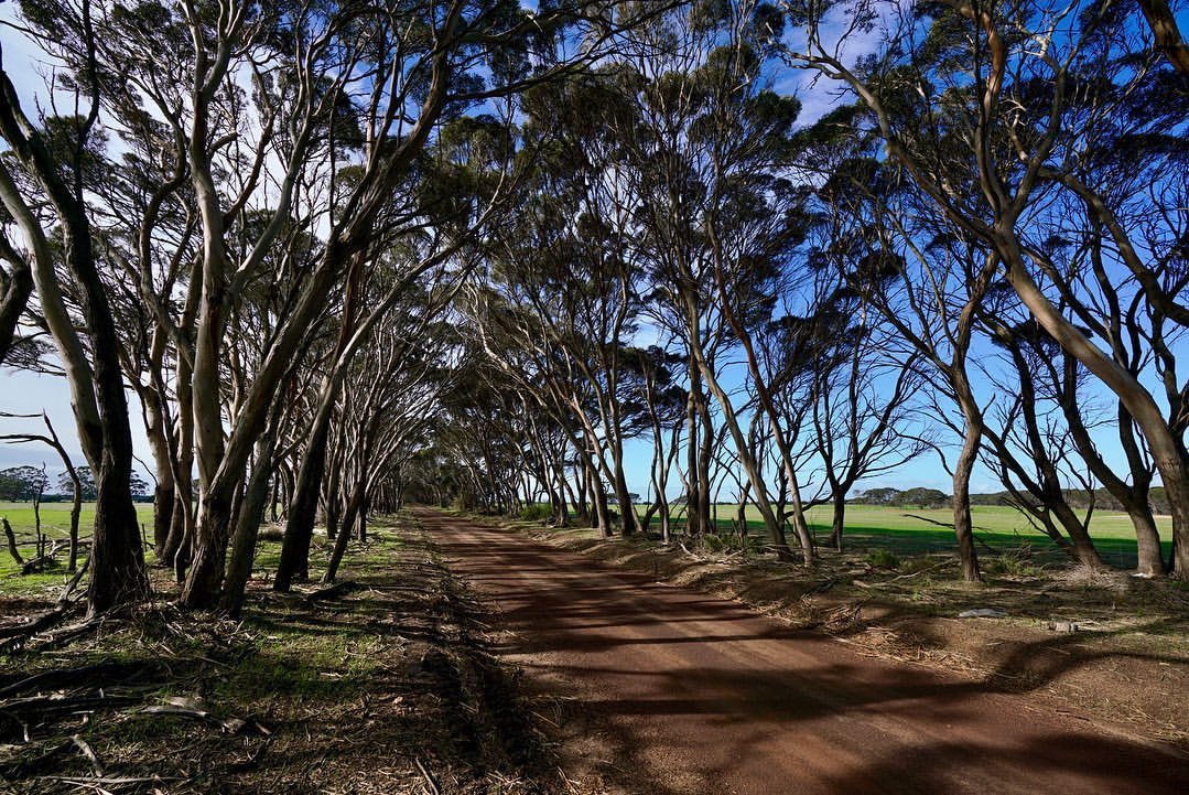 Kangaroo Island 2 Day Tour