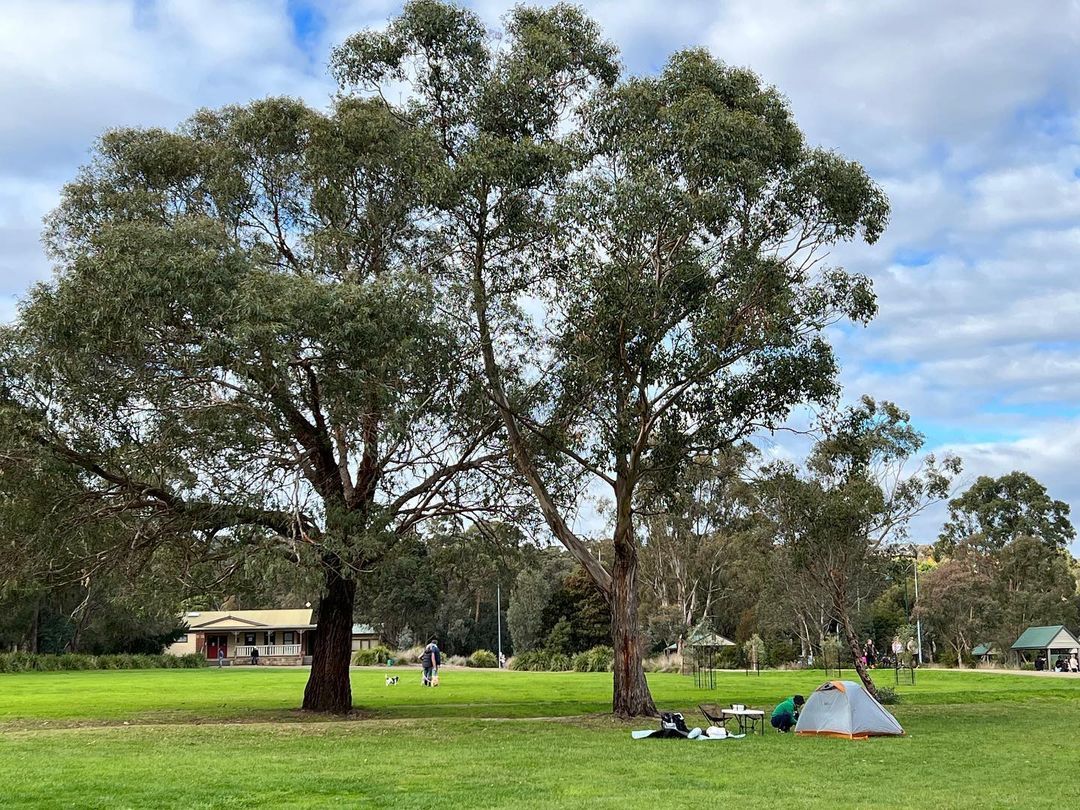 Lilydale Lake Camping