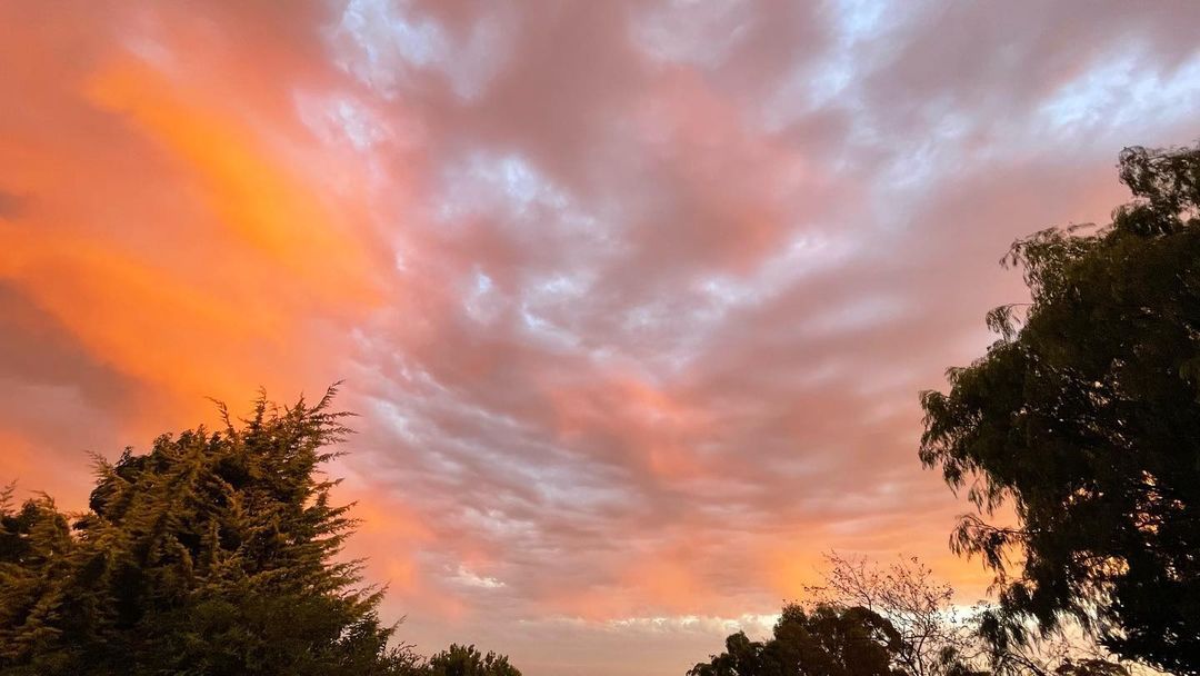 Lost in the beauty of this fiery sky 🌅🔥（在