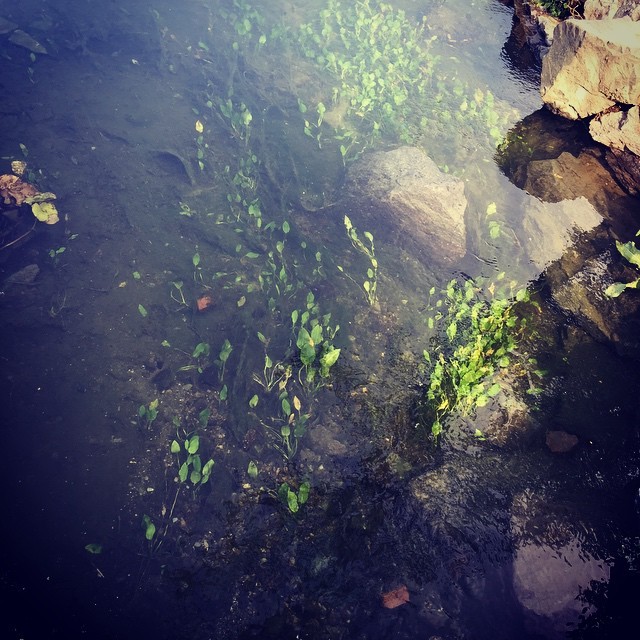 Photos 117377831217