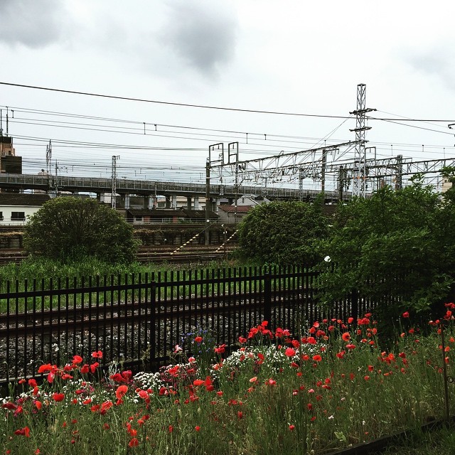 Railway