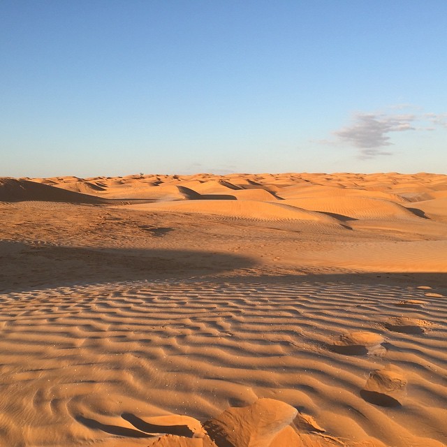 Sahara