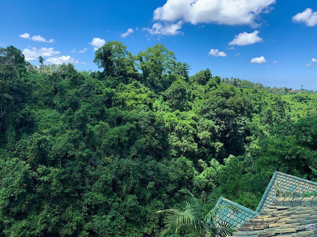 Stay in Ubud