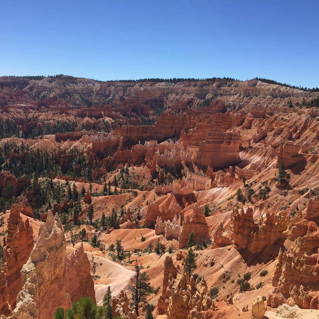 Sunrise Point