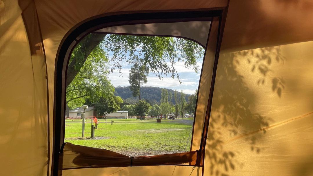 Through the window only wild ducks and mountains
