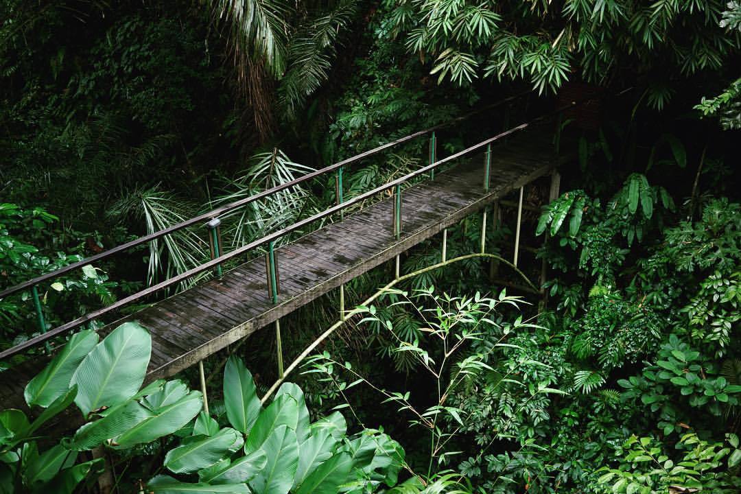 Ubud Bali