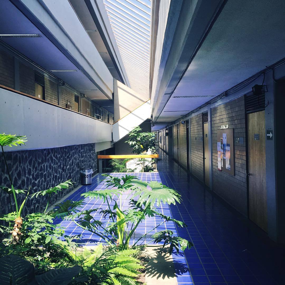 UNAM大学