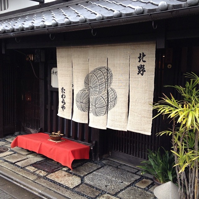 一根乌冬