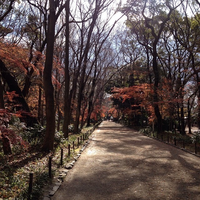 下鴨神社 (在 下鴨神社 (賀茂御祖神社 / Shimogamo-jinja))