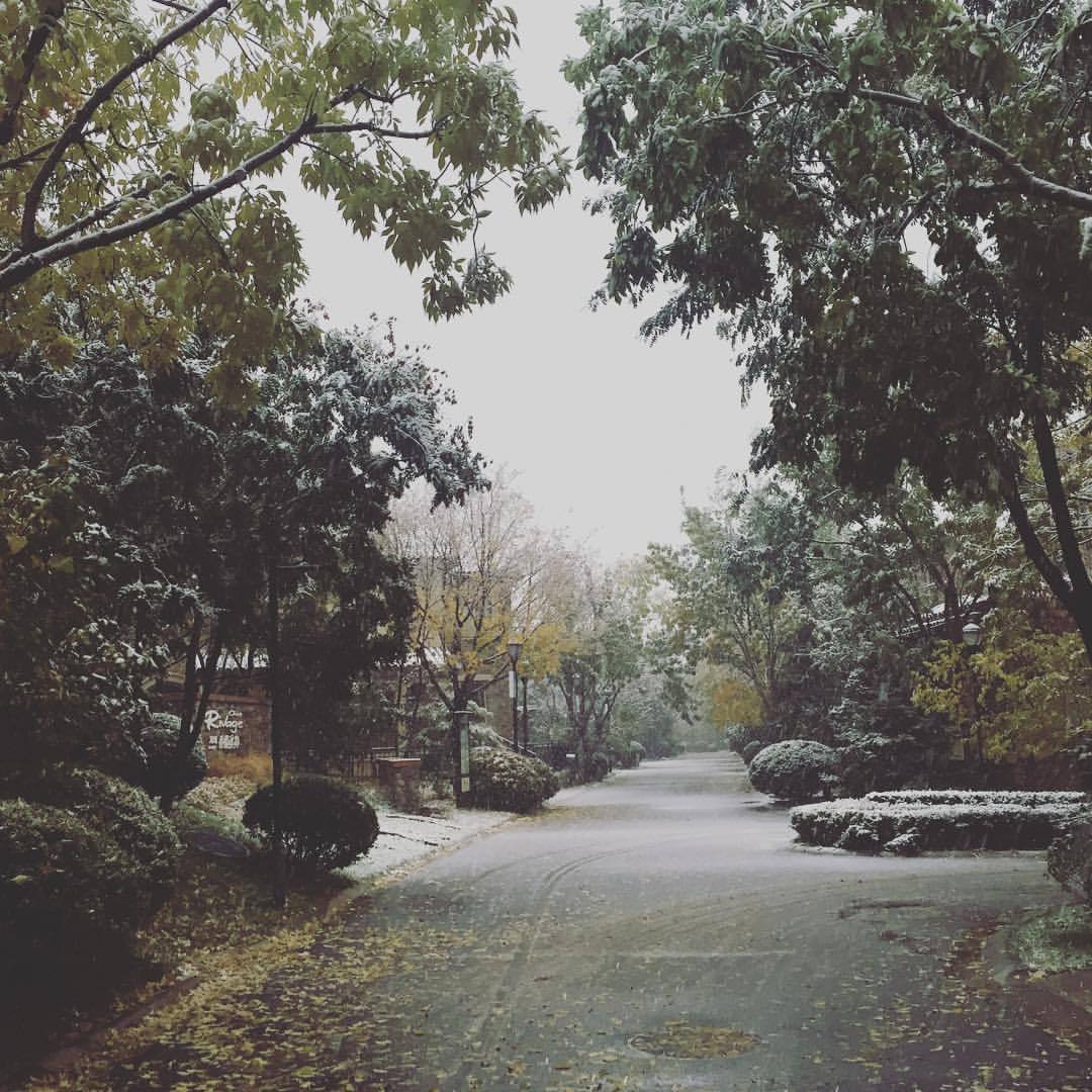 冬天的第一场雪