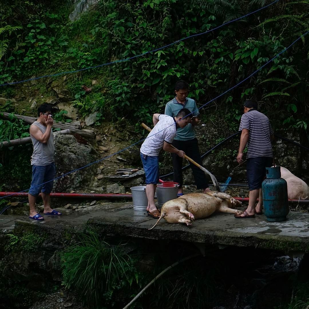 盘中餐