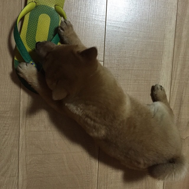 被你征服