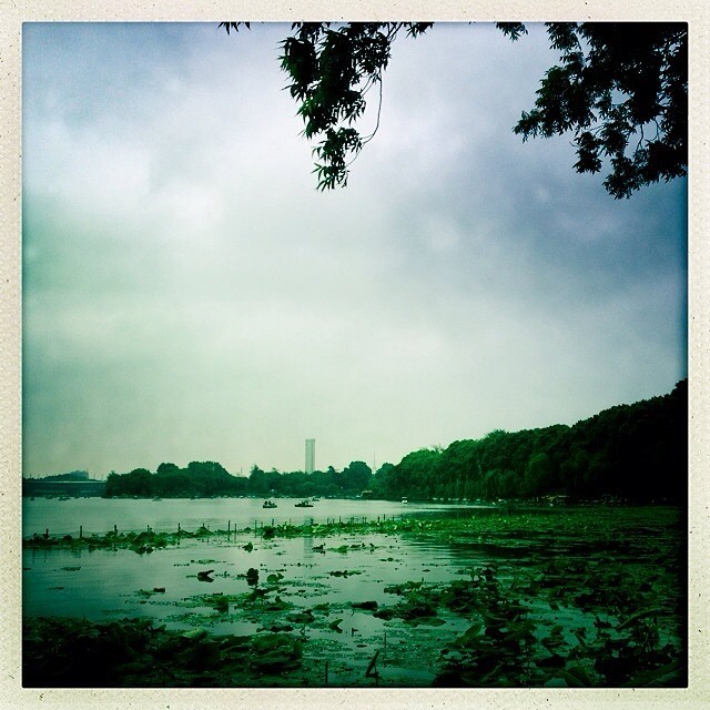 阴雨绵绵的玄武湖 (在 Xuanwu Lake)