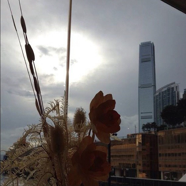 香港有阳光 (使用Instagram拍摄)