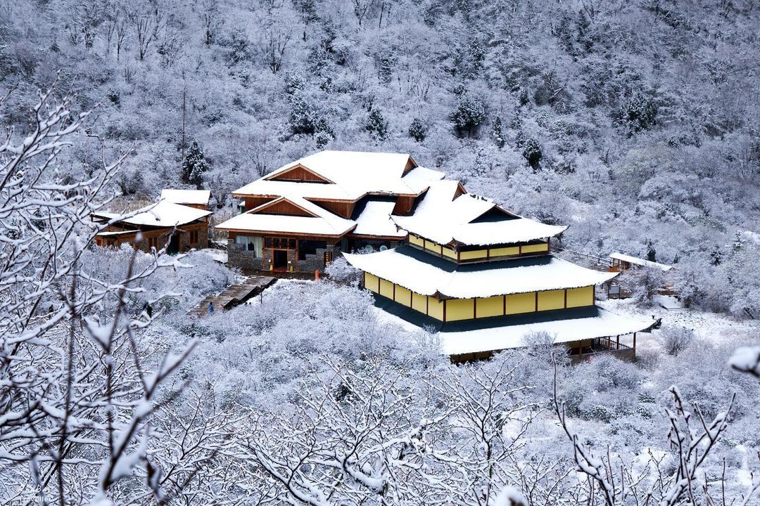 黄龙国家森林公园